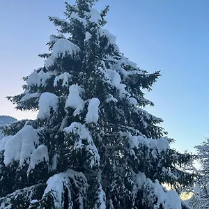 Chalet La Poipia